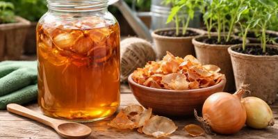 معجزه پوست پیاز؛
