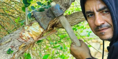 چرا همه باید از شر