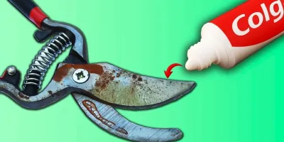 میلیون ها نفر باور