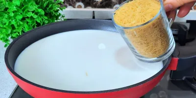 ورمیشل را به شیر در