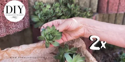 ۲ تزیینات طبیعی
