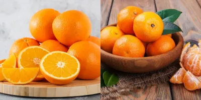فرق بین پرتقال و