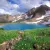 کوه گل سی سخت / بهشتی کم نظیر برای گردشگران در فصل بهار