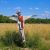 روش های موثر برای دور کردن پرندگان از باغ و مزرعه