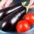 طرز تهیه گوجه بادمجان / دستور پخت بادمجان جایگزین خوشمزه برای گوشت و برنج
