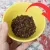 میخک ها را زیر تخت خود قرار دهید / میخک شما را از مشکلات بزرگ دور میکند