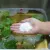روش سریع برای باز کردن سینک آشپزخانه / رفع بوی بد فاضلاب و گرفتگی سینک
