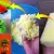 آموزش ساخت بنسای دکوری با یک تکه ابر