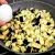 طرز تهیه شام رژیمی | خوش طعم و ساده فقط با بادمجان