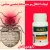 قوی ترین سم ساس دیجی کالا + نکات مهم سمپاشی ساس منزل