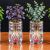 ترفند آبیاری خودکار و قطره ای گل های آپارتمانی با بطری نوشابه