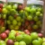 طرز تهیه ترشی گوجه سبز خوشمزه و خانگی