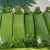 طرز تهیه یک ساندویچ عالی با مرغ و نان تست