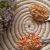 طرز تهیه گرانول و پودر فلفل تند خانگی؛ آموزش خشک کردن فلفل بدون فر