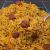 طرز تهیه کلم پلو شیرازی؛ غذای اصیل و خوش عطر ایرانی