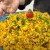 مراحل تهیه دمپختک بادمجان / دمپختک بادمجان آسان و سریع