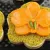 طرز تهیه خوشمزه ترین تر حلوا مجلسی با کراست حلوای هل و بادام بسیار خوشمزه رایگان هیچ جا پیدا نمیکنی!