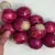 ساخت پیاز دیوارکوب برای آشپزخانه: ایده ای خلاقانه برای دکوراسیون