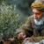 داستان پندآموز درختی که کسی ندید؛ خوبی هایی که برای دیده شدن نیستند