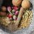 طرز تهیه ادویه پلویی خانگی؛ راز خوش عطر شدن عدس پلو، لوبیاپلو و هویج پلو