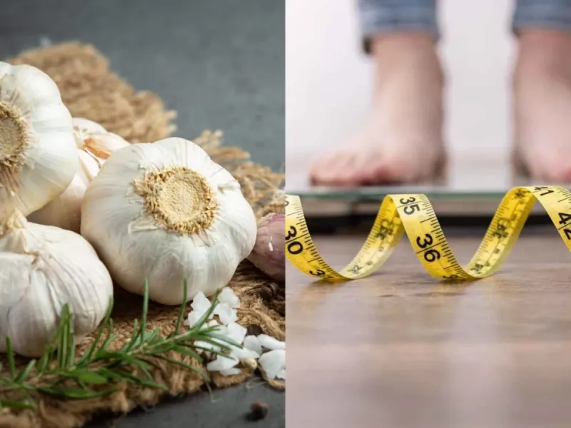 چگونه سیر می‌تواند به لاغری کمک کند؟