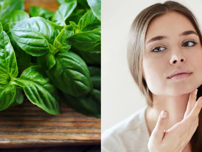 مزایا و معجزه ی ماسک ریحان برای پوست