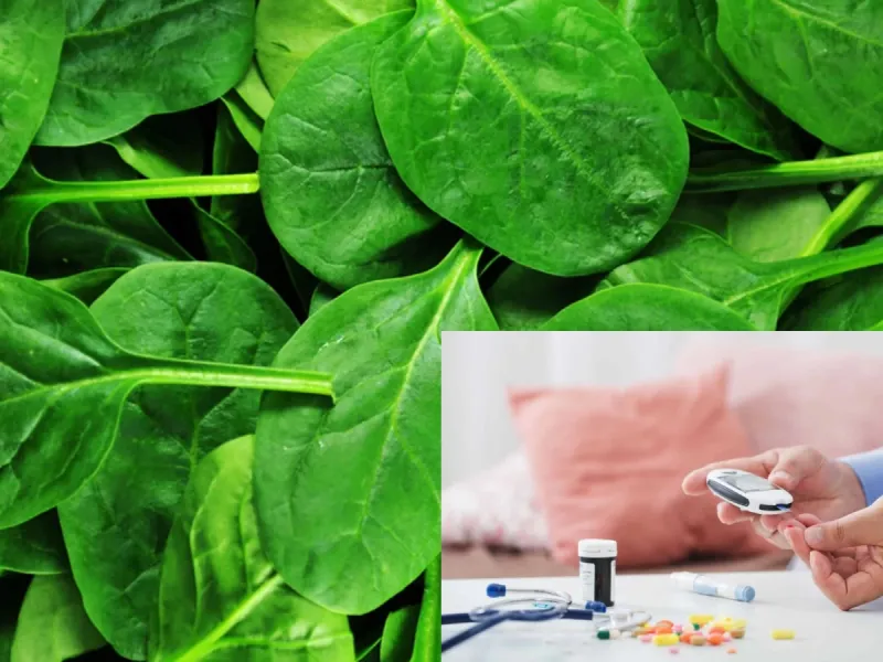 تاثیر اسفناج بر کنترل دیابت و روش های مصرف آن