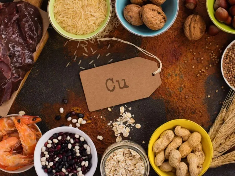 غذاهای حاوی مس کدامند؟
