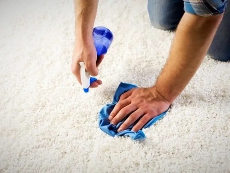 چند روش سریع برای از بین بردن بوی ادرار از روی فرش