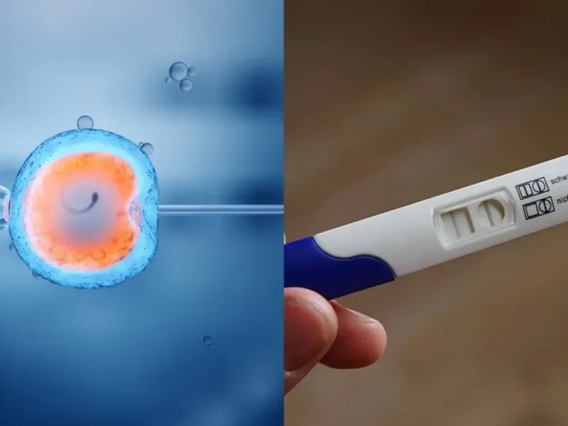 تفاوت های IVF و IUI / راهنمای کامل برای درمان ناباروری