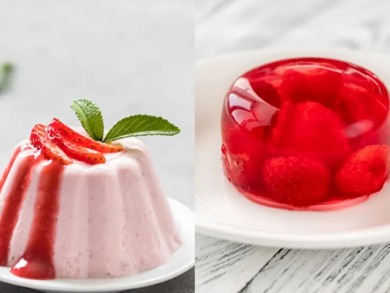 ژله با پودینگ چه فرقی دارد ؟