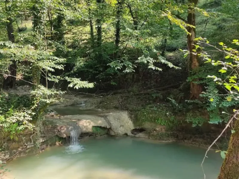 جنگل لفور مازندران راهنمای سفر به بهشتی بکر