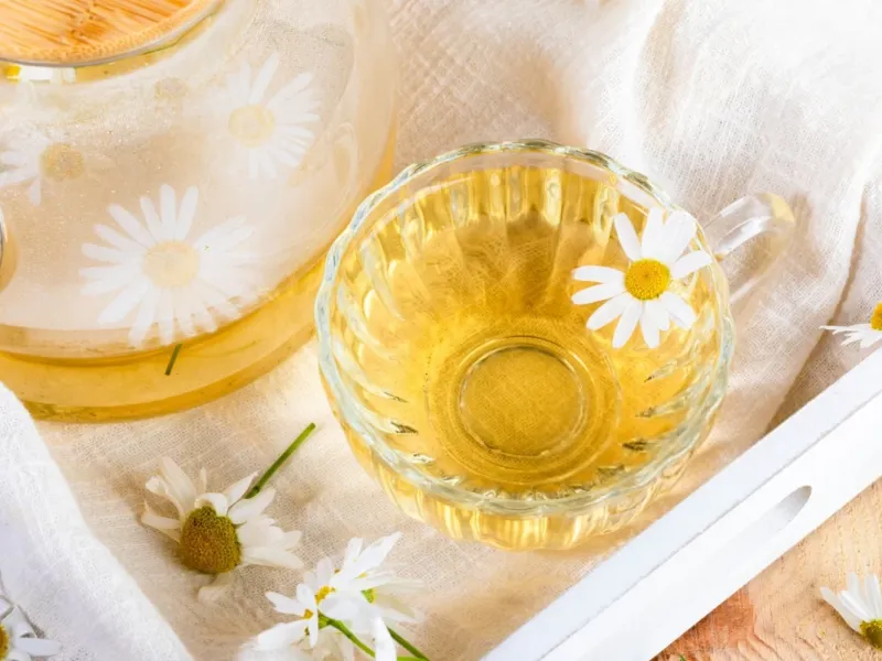 فواید بابونه برای معده و دستگاه گوارش