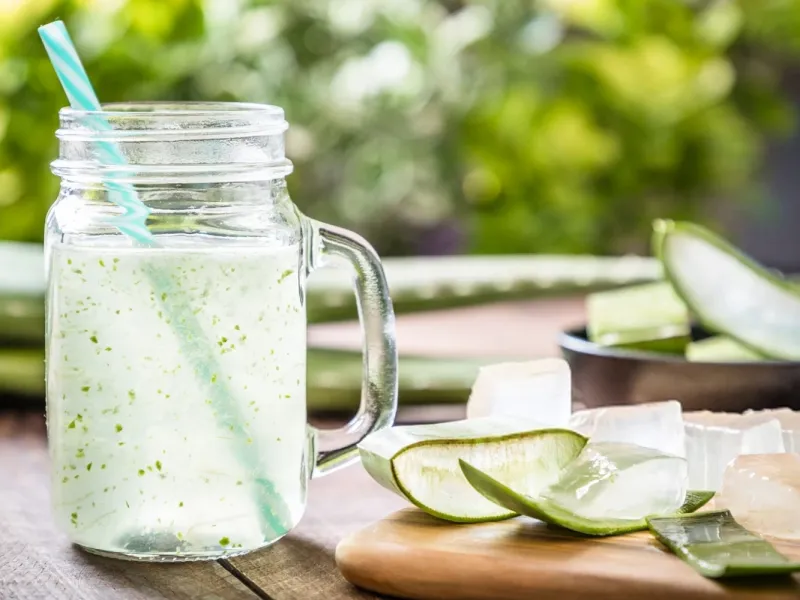 آلوئه ورا برای کودکان سن مناسب و نکات مهم آلوئه ورا برای کودکان سن مناسب و نکات مهم