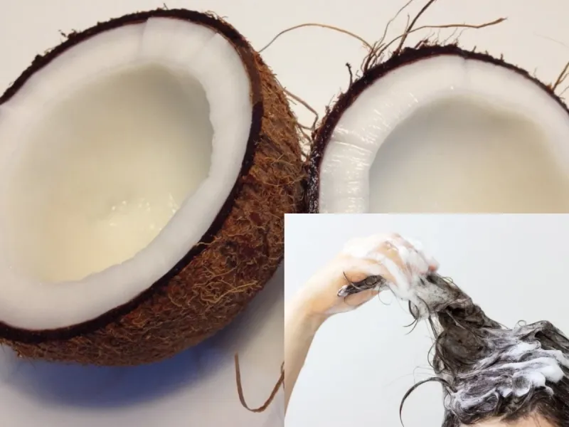 شامپو نارگیل راهی طبیعی برای مراقبت از مو