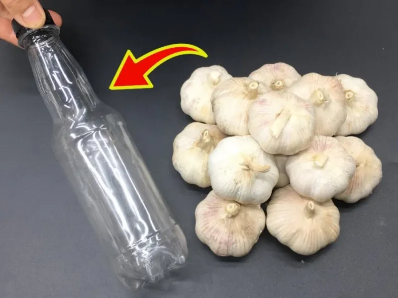 آموزش پوست گرفتن سیر بدون دخالت دست فقط با یک بطری پلاستیکی