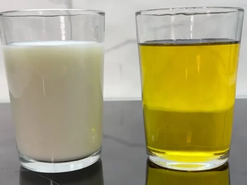 طرز تهیه صبحانه مدرن و فانتزی با شیر و روغن زیتون