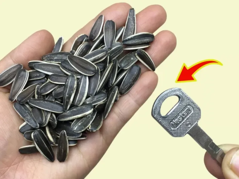 سریعترین راه برای پوست کندن یک کاسه تخمه آفتابگردان در چند دقیقه!