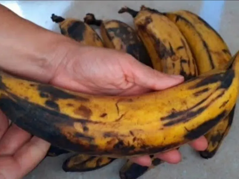 طرز تهیه رولت موز با موز های سیاه و نرم شده