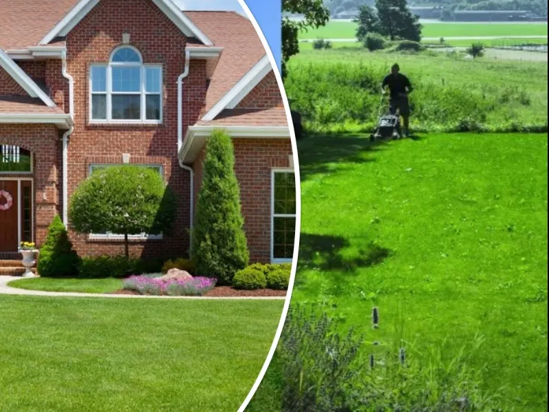 چمن سبز و شاداب، با روش های طبیعی: با دارچین و قهوه، چمن خانه یا باغ خود را تقویت کنید!