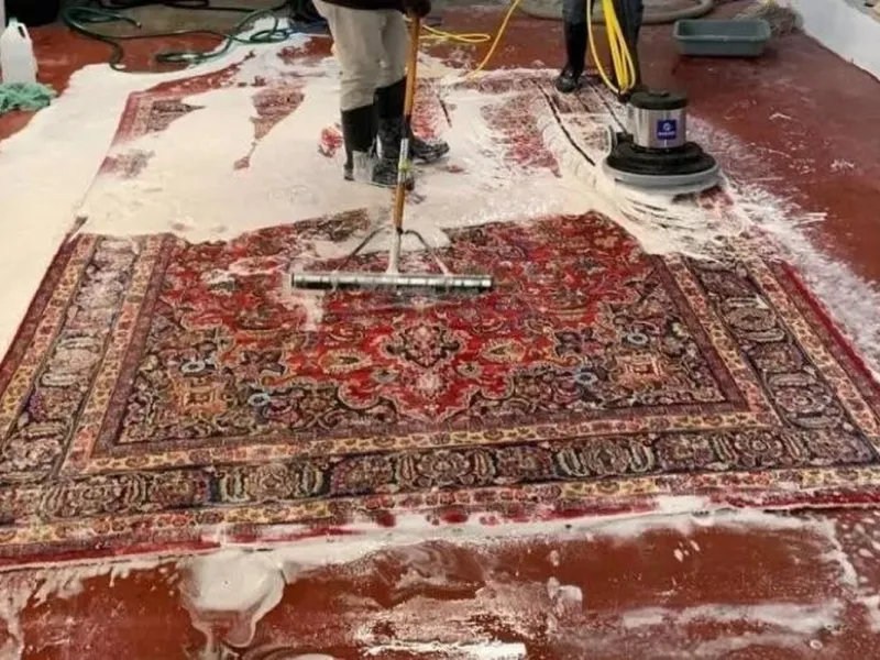 آموزش نحوه صحیح شستشوی فرش در منزل (از انتخاب مواد شوینده تا خشک کردن کامل) آموزش نحوه صحیح شستشوی فرش در منزل (از انتخاب مواد شوینده تا خشک کردن کامل)