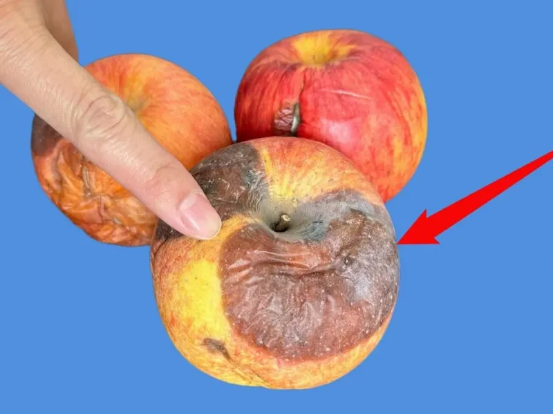 سیب های گندیده را دور نریزید! هرچه فاسرتر با ارزش تر !