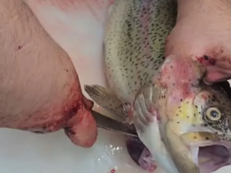 آموزش خیلی سریع و راحت پاک کردن و پوست کندن ماهی قزل آلا (سالمون)