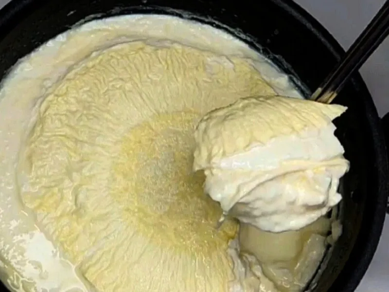 طرز تهیه ی ماست خامه دار محلی با 2 لیتر شیر