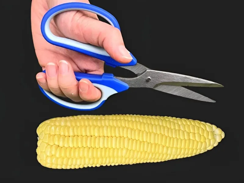 روشی فوق العاده سریع برای جدا کردن دانه های ذرت با قیچی !