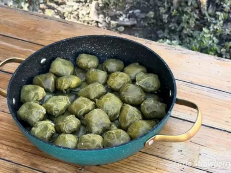 طرز تهیه دلمه / آموزش پخت + پیچاندن دلمه برگ مو