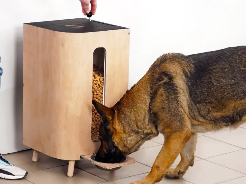 آموزش ساخت کیبل دان خانگی برای کنترل هوشمندانه غذای سگ