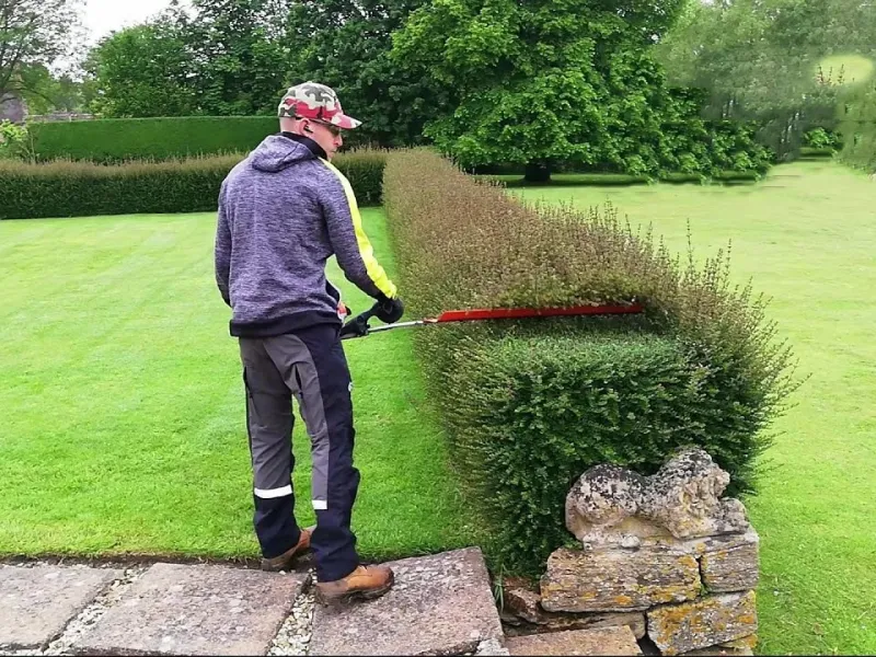 نحوه هرس کردن و چمن آرایی باغ با یک قیچی