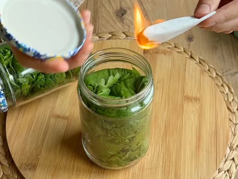 روش کنسرو کردن و نگهداری از برگ انگور بدون نیاز به آب و نمک