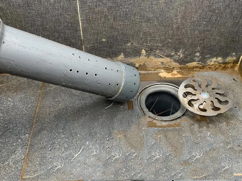 ترفند ساده و ارزان برای جلوگیری از ورود سوسک و بوی بد فاضلاب